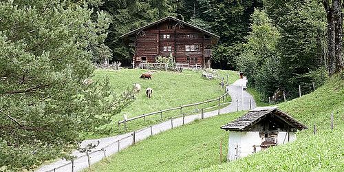 zwei Bauernhäuser in grüner Landschaft 