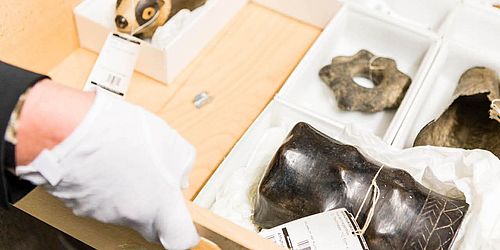 Objekte aus dem Museum in einer Holzkiste 