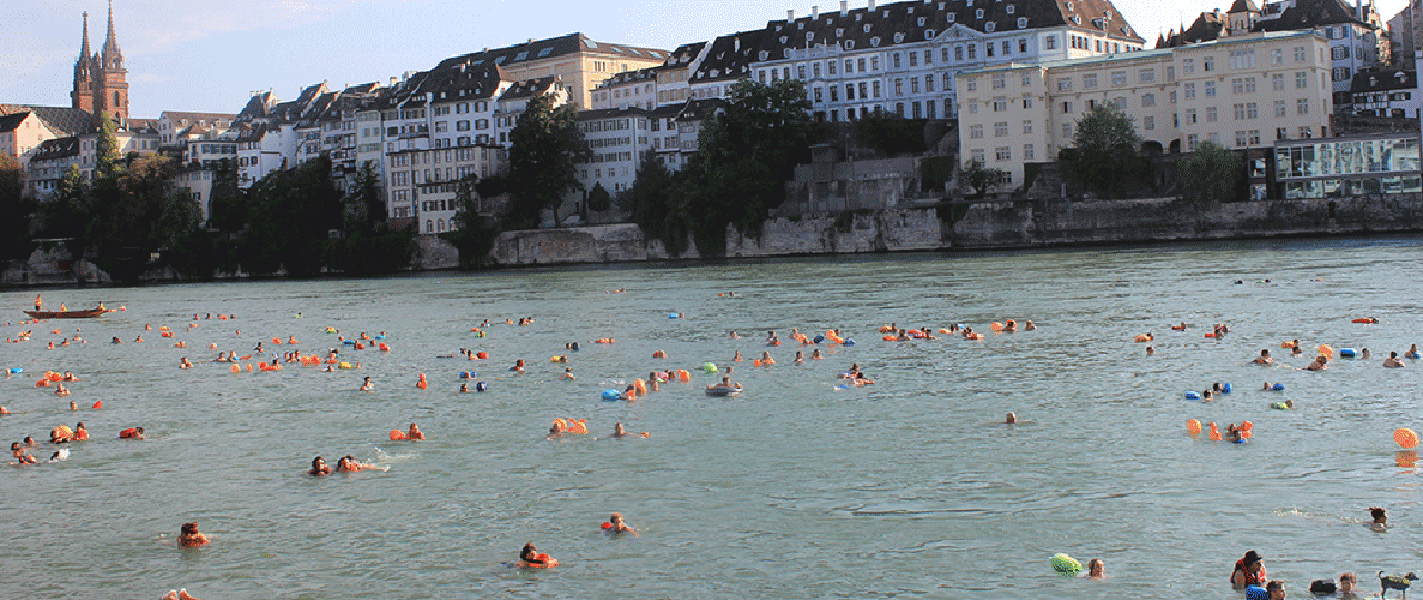 Rheinschwimmen 2017